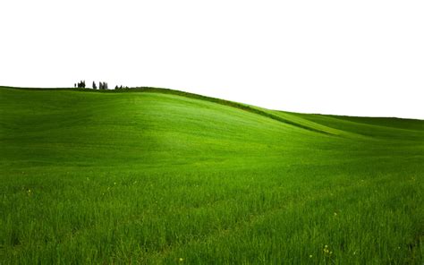 Grassy Hill Transparent Background Img Abbey