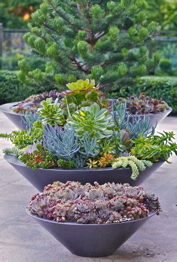 Here are some ideas for unique succulent containers. Succulent Containers for Your Garden | Garden Design