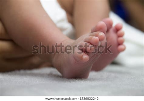 Newborns Feet Placed On White Fabric Stock Photo 1236032242 Shutterstock