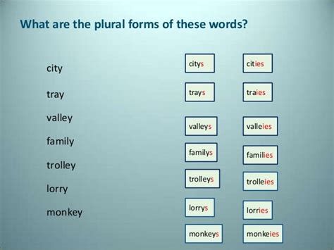 Plurale Di Family In Inglese - The plural