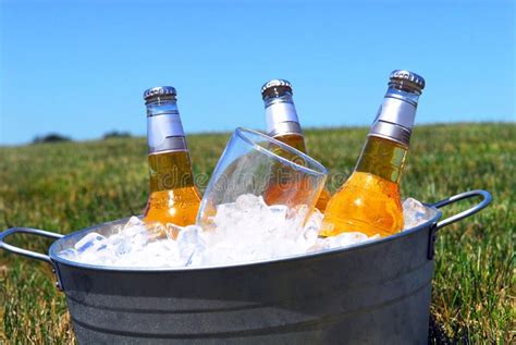 Bucket Of Beers On Ice In A Picnic Setting Stock Photo Image Of