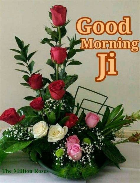 Good Morning Ji Good Morning Flowers Good Morning