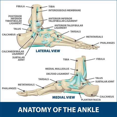 Ankle Fracture Surgery Florida Orthopaedic Institute