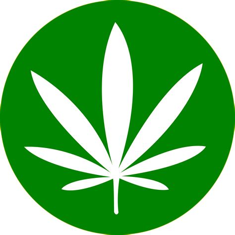 Cannabis Png Image Purepng Free Transparent Cc0 Png Image Library