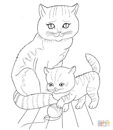 Get This Baby Kitten Coloring Pages 91628