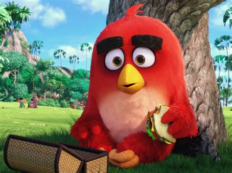 The Angry Birds Trailer Is Making Me Angry Gadgets 360