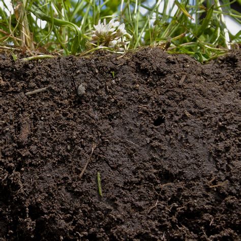 How To Create Amazing Garden Soil From Clay Silt Or Sand Living Off