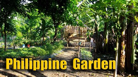 Rural Philippine Housing Plants And Gardens 3 Of 3 Youtube