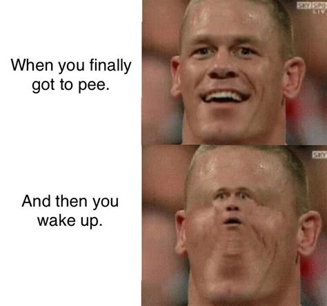 50 Funny You Cant See Me John Cena Memes You Should Not Miss