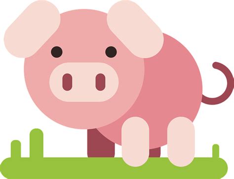 Check spelling or type a new query. หมู สัตว์ การ์ตูน - กราฟิกแบบเวกเตอร์ฟรีบน Pixabay