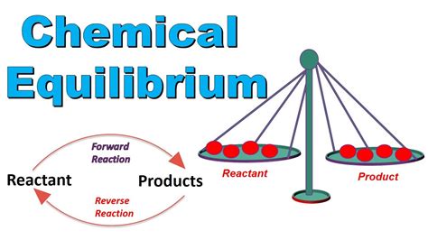 What Is Chemical Equilibrium Explain With Example Class 10 Chemistry