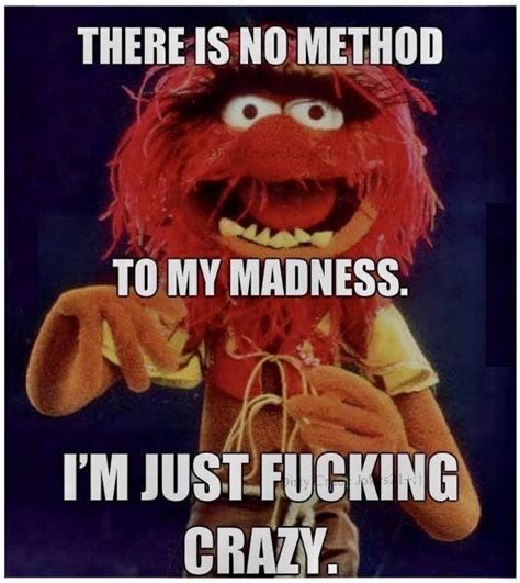 Pin By J Kerchen On Funny Af Muppets Funny Silly Jokes Sarcastic