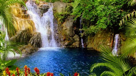 Beautiful Waterfalls From Rocks Pouring On River Surrounded By Green Trees Forest Background Hd