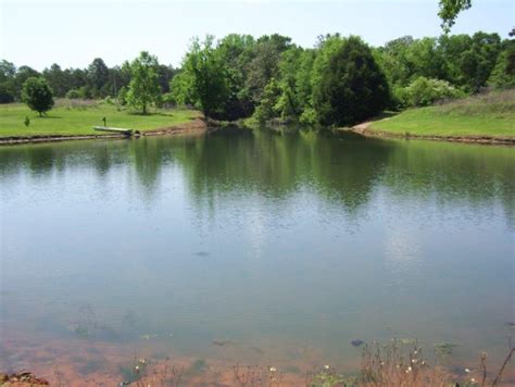 Fishing Pond Property For Sale In South Georgia 6 Agri Land Realty Llc