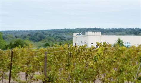 Bucks Countys Sand Castle Winery Has Big Expansion Plans Sponsored Saucon Source