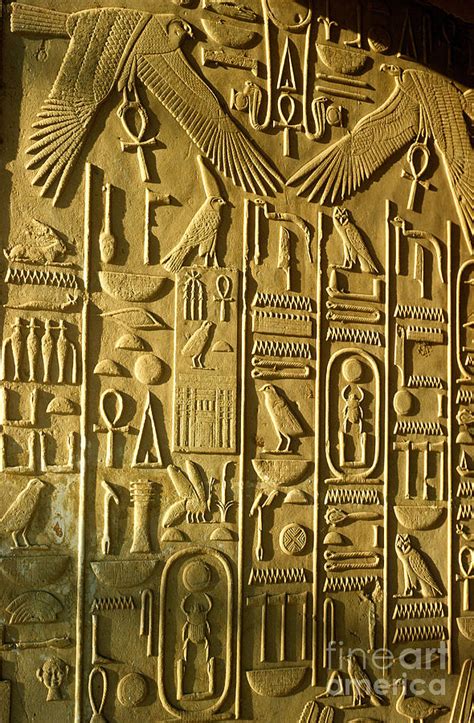 Ancient Egyptian Hieroglyphs Photograph By Farrell Grehan Pixels