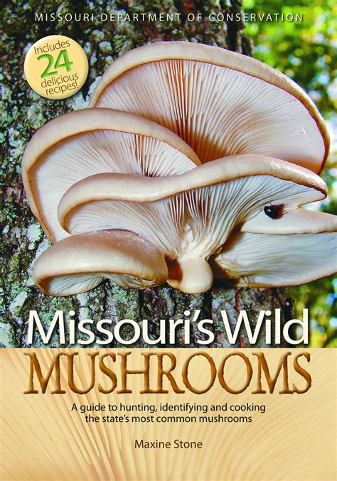 Mdc Offers New Guidebooks On Mushrooms And Herps