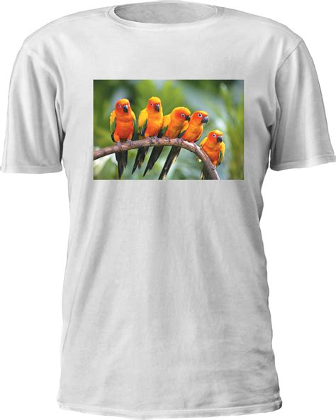 View Sublimation Printer For T Shirts Background All About Printer