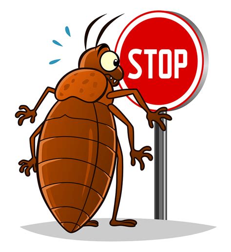 Clip Art Bed Bugs 20 Free Cliparts Download Images On Clipground 2023