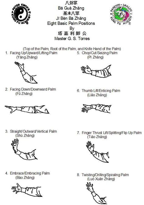 Ji Ben Ba Zhang Phoenix Dragon Kung Fu Academy