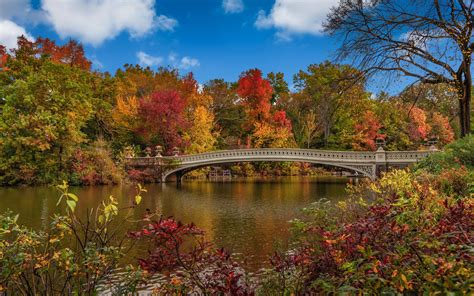 Wallpaper Beautiful Bridge Over The River In Autumn On