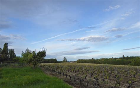 Living The Life In Saint Aignan Skies Vines Hills And Trees