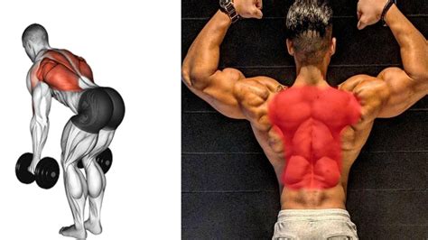 Best Back Exercise At Home The Perfect Back Workout Dumbbell Only Youtube