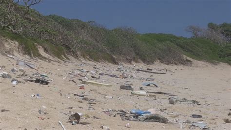 Video Plastic Dominates Hawaii Marine Debris Survey Shows