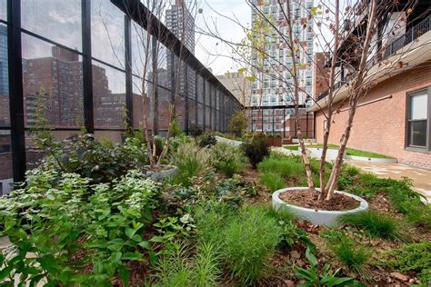 Rooftop gardening in new york city. Gracie Square Hospital - Patient Rooftop Garden in ...