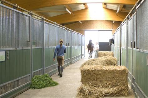 Zuckerreiches gras ist für tiere, insbesondere für pferde, ungesund. Lieferanten-Adressen: Profis für Heu und Silage - cavallo.de