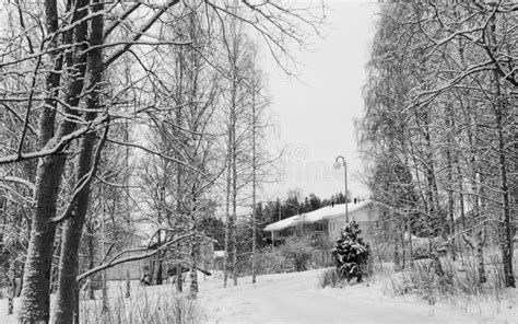 Winter Scene In Finland Stock Photo Image Of Frozen 65843276