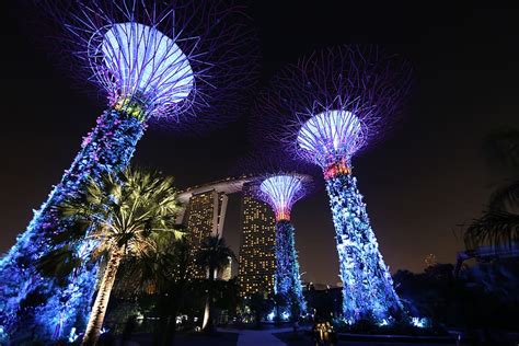 Singapore Gardens By The Bay At Night Design Of Night Illuminated
