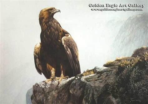 In The Highlands Golden Eagle Golden Eagle Art Gallery