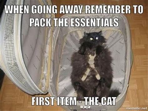 When Going Away Remember To Pack The Essentials First Items The Cat