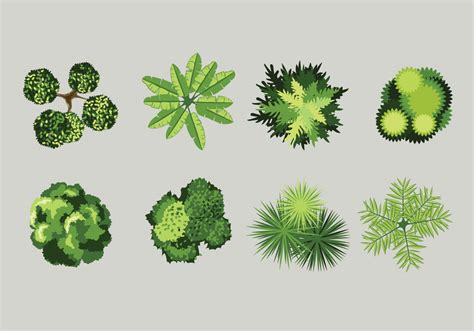 Plant Top View Vector Art Icons And Graphics For Free Download