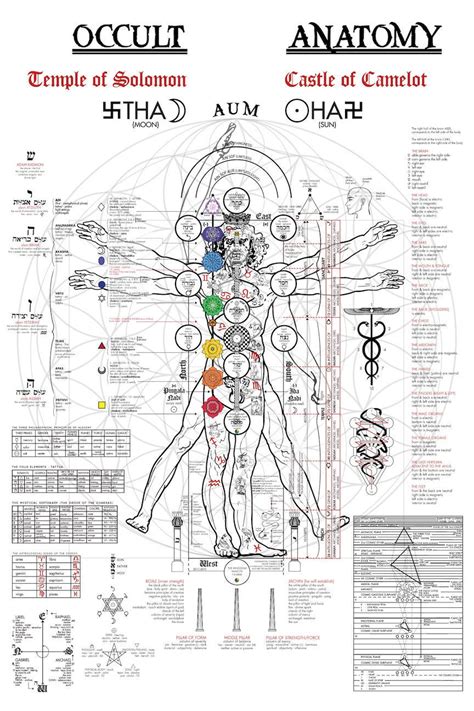 The Occult Anatomy Print Kabbalah Alchemy Tree Of Life