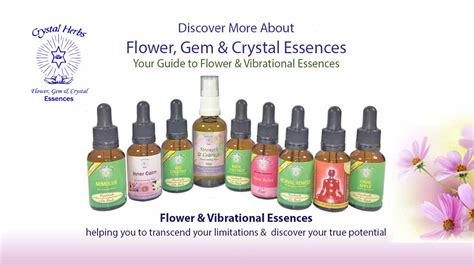 Flower Essences All About Flower And Vibrational Essences