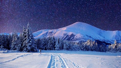 Winter Night Wallpaper