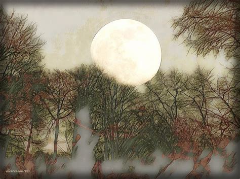 Moonstruck Digital Art By Ellen Cannon Fine Art America