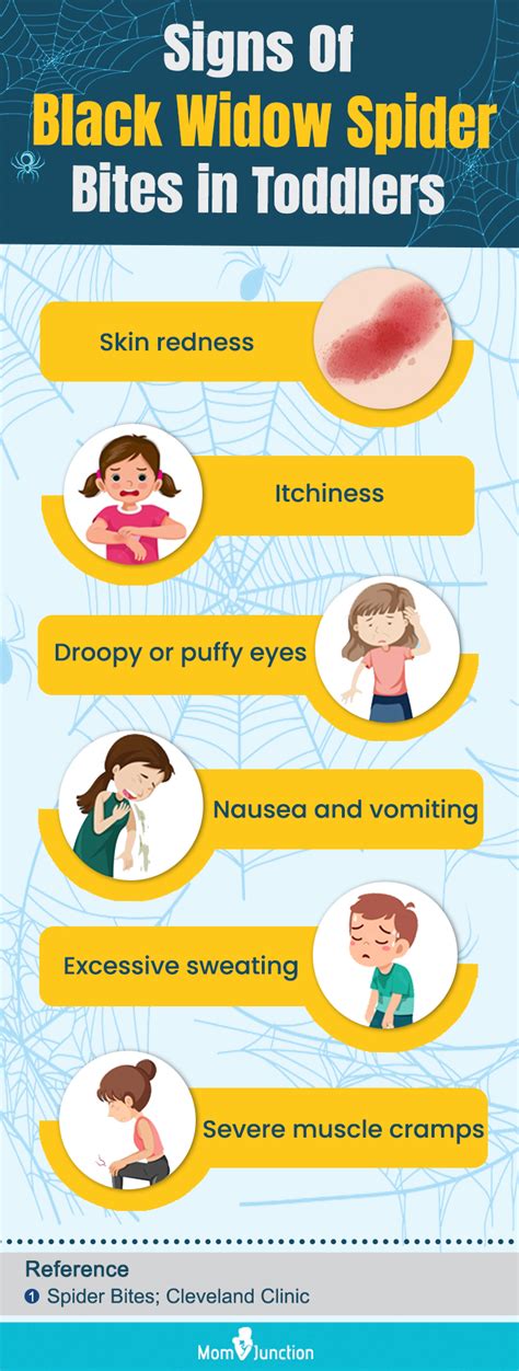 Spider Bites In Toddlers Facts Symptoms And Ways To Prevent