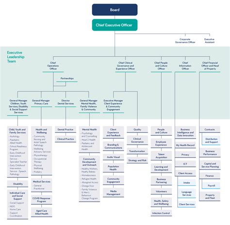 Organisational Structure Dpv Health