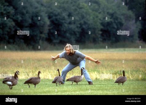 Fly Away Home Jeff Daniels Fawh Stock Photo Alamy