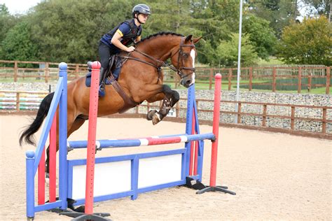 Check spelling or type a new query. Stowe School - The Equestrian Centre