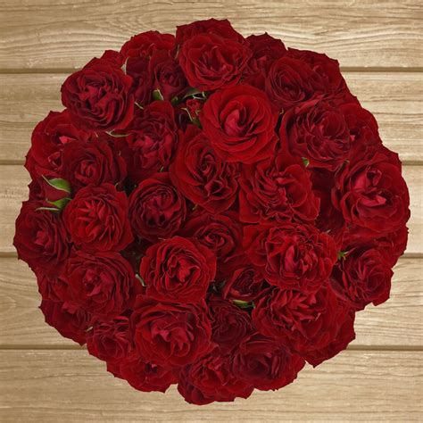 Spray Roses Flowers For Delivery Near Me Free Shipping
