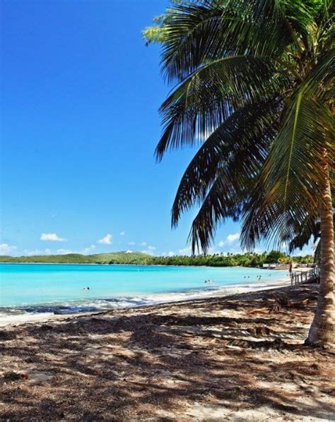 10 Best Beaches For A Secluded Getaway Culebra Island Culebra