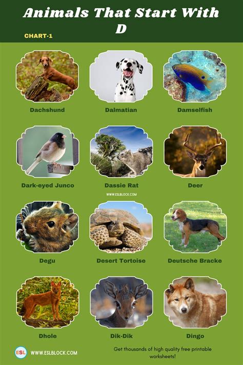 Animals That Start With D In 2023 Garden Animals Animals Animal