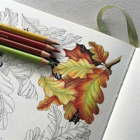 Autumn Leaves Color Pencil Art Coloring Book Art Colored Pencil
