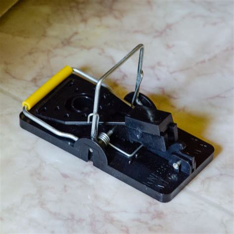 Snap E Mousetrap Review Simple And Smart