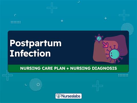 6 Puerperal And Postpartum Infections Nursing Care Plans Nurseslabs
