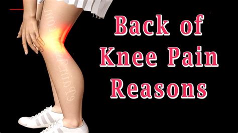 Back Of Knee Pain 4 Reasons You Have Back Of Knee Pain Youtube